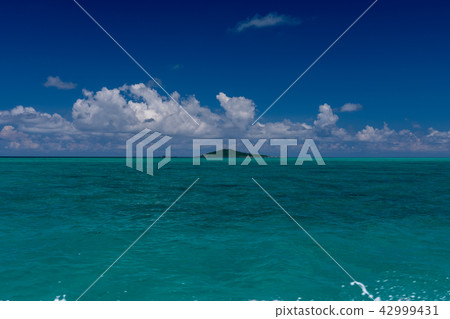 宮古島海 42999431