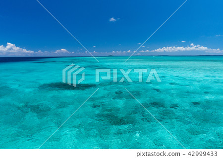 宮古島海 宮古島海 42999433