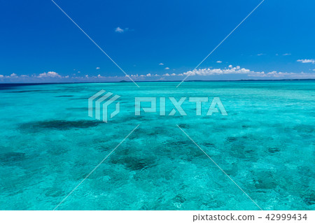宮古島海 宮古島海 42999434
