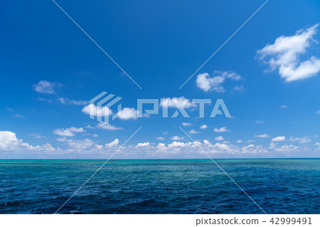 Miyakojima Yae Hanase 42999491