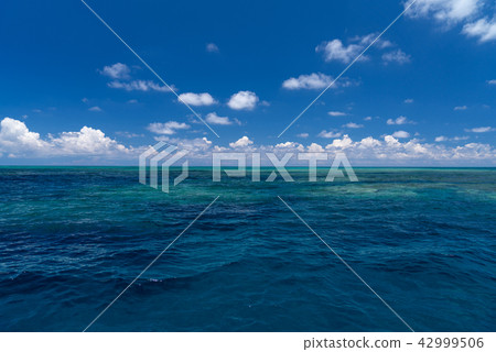 Miyakojima Yae Hanase Miyakojima Yae Hanase 42999506