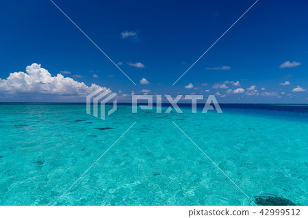 Miyakojima Yae Hanase Miyakojima Yae Hanase 42999512