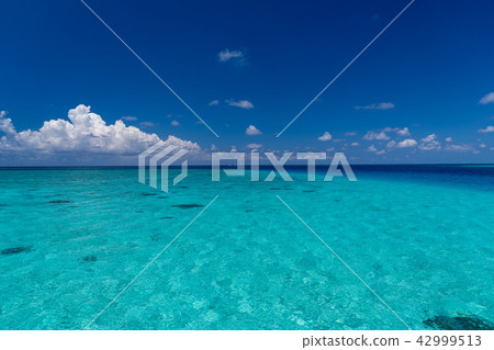 Miyakojima Yae Hanase Miyakojima Yae Hanase 42999513