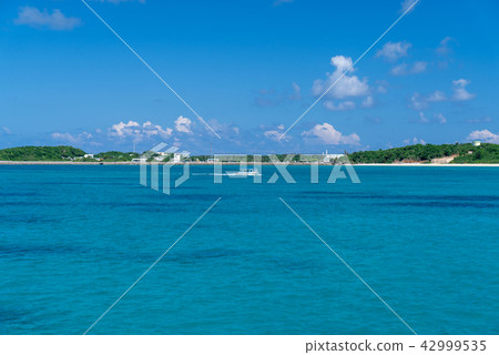 Miyakojima Yae Hanase Miyakojima Yae Hanase 42999535