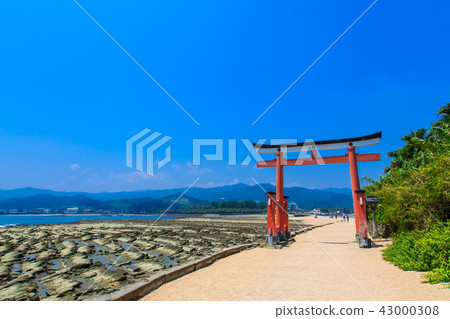 Aoshima Shrine