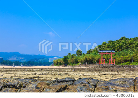 青島神宮青島神宮和鬼的搓板[宮崎縣宮崎市] 43000312