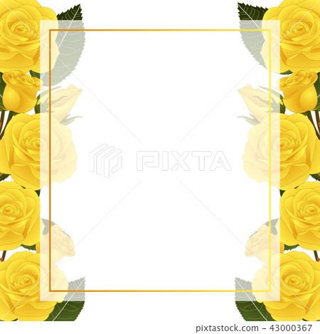 Yellow Rose Flower Banner Card Border Yellow Rose Flower Banner Card Border 43000367