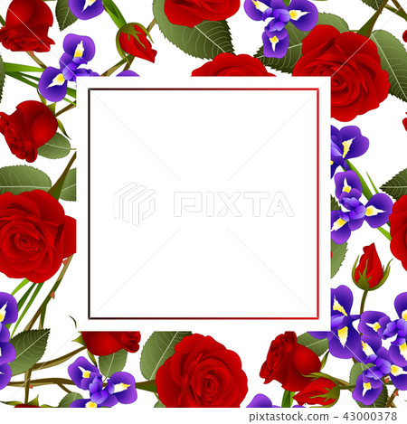 Red Rose and Iris Flower Banner Card Red Rose and Iris Flower Banner Card 43000378