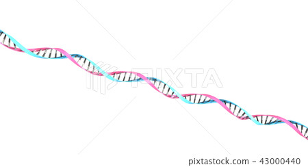雙螺旋圖像 43000440