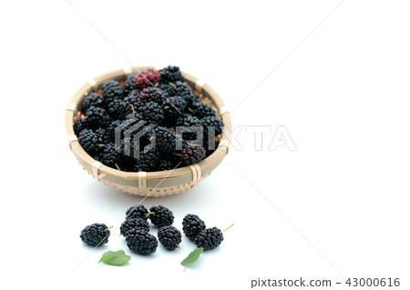 Fruit mulberry mulberry fruit Fruit mulberry mulberry fruit 43000616