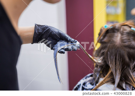 Professional hairdresser coloring hair of woman client at studio Professional hairdresser coloring hair of woman client at studio 43000828