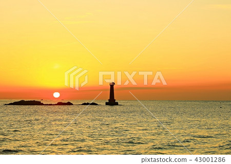 Sunrise! Sunrise! 43001286