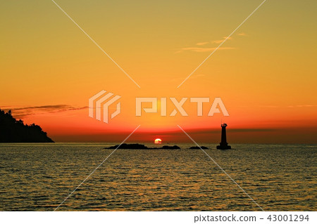 Sunrise! Sunrise! 43001294