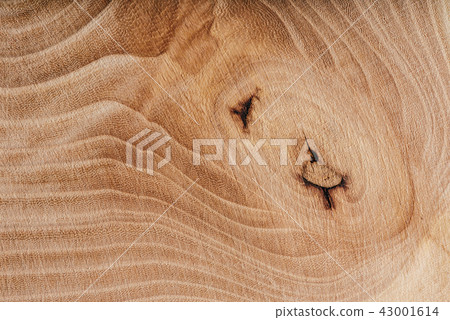 Ash wood slab texture with annual rings. 43001614