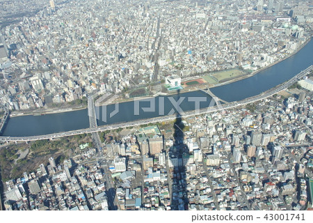 東京天空樹 43001741