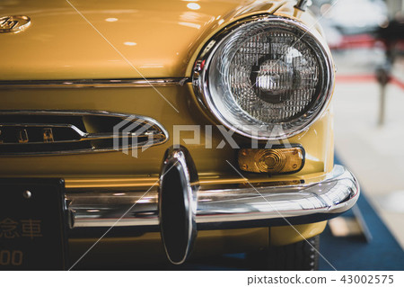 Carol 600-10 43002575