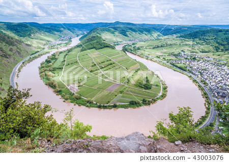 Moselle loop at Bremm Panorama Germany 43003076