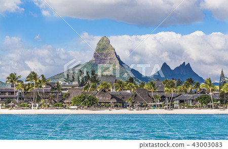 Flic en flac beach with Piton de la Petite  43003083