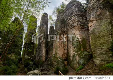 sandstone rocks - Prachovske skaly (Prachov Rocks) 43004884