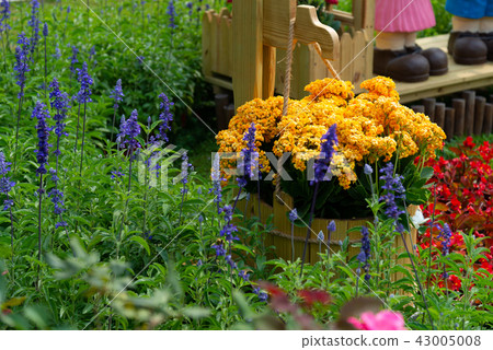 台灣士林官邸花園台灣士林官邸植物總統官邸花園 43005008