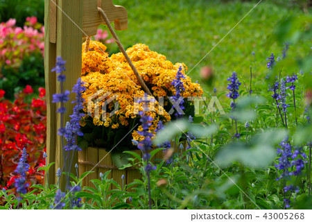 台灣士林官邸花園台灣士林官邸植物總統官邸花園 43005268