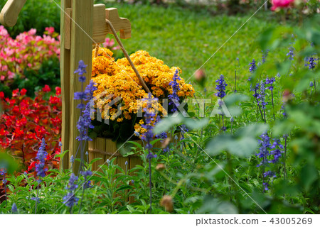台灣士林官邸花園台灣士林官邸植物總統官邸花園 43005269