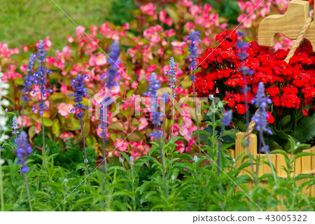 Shilin Official Residence Garden Taiwan Shilin Official Residence Plant Presidential Residence Garden Shilin Official Residence Garden Taiwan Shilin Official Residence Plant Presidential Residence Garden 43005322