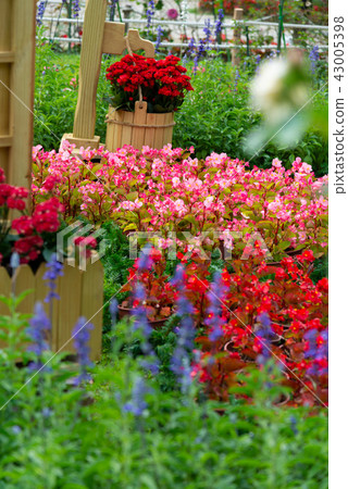 台灣士林官邸花園台灣士林官邸植物總統官邸花園 43005398