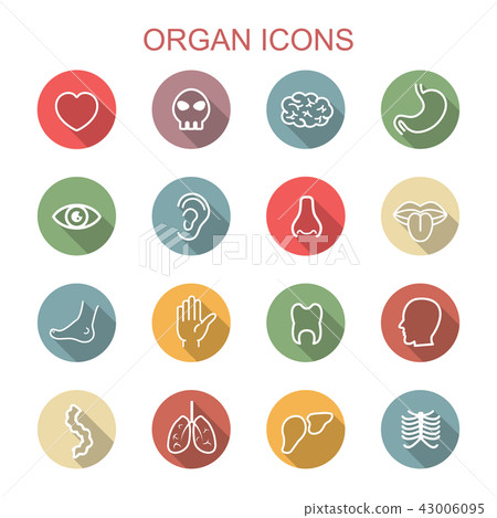 organ long shadow icons organ long shadow icons 43006095