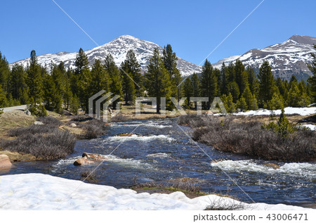 River of Yosemite National Park 43006471