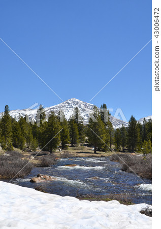 River of Yosemite National Park 43006472