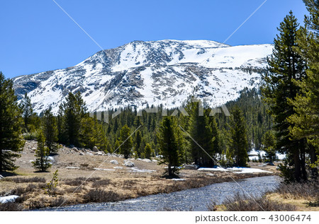 River of Yosemite National Park 43006474
