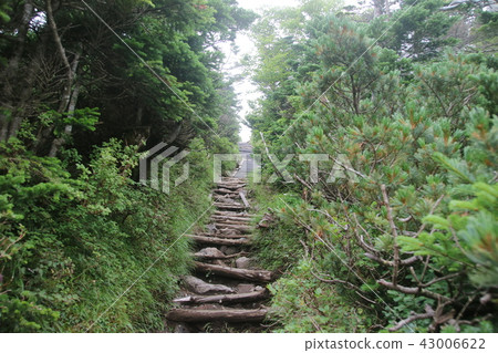 Trail Trail 43006622