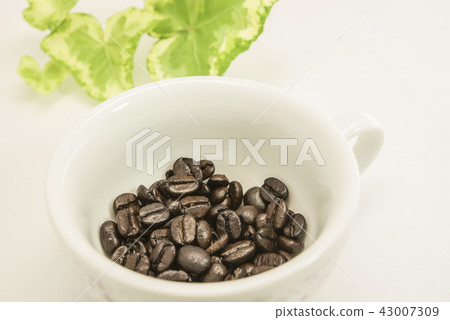 【Coffee beans】 43007309