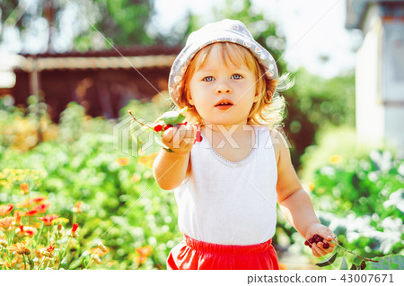 child in the garden with berries 43007671