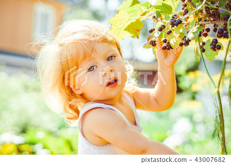 child in the garden with berries 43007682