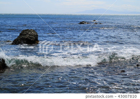 海岸/夏天的回憶 海岸/夏天的回憶 43007810