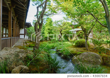 [京都]嵐山天龍寺 43007834
