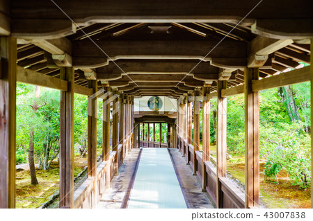 [Kyoto] Tenryu-ji Temple of Arashiyama 43007838