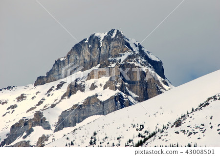 落磯山脈和雪在加拿大 43008501