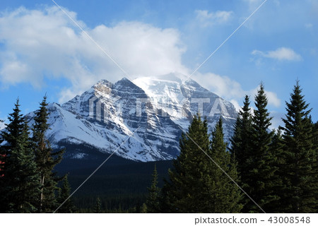 班夫國家公園在加拿大和降雪山 班夫國家公園在加拿大和降雪山 43008548