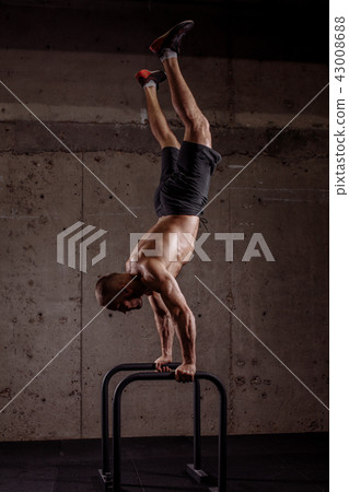 well-built gymnast performing on parallel bars well-built gymnast performing on parallel bars 43008688