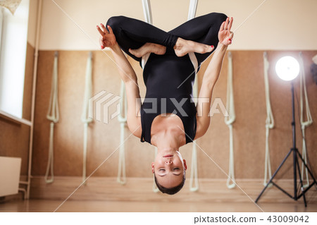 attractive fit girl is hanging upside down during yoga workout attractive fit girl is hanging upside down during yoga workout 43009042