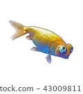 Goldfish 43009811