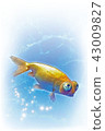 Goldfish (Vertensia) postcard 43009827