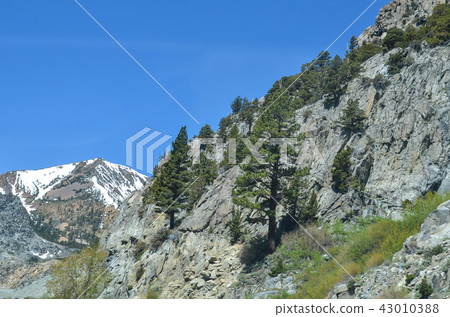 Yosemite National Park Yosemite National Park 43010388