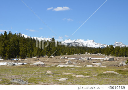 優勝美地國家公園 43010389