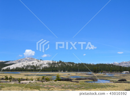 優勝美地國家公園 43010392