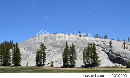 Yosemite National Park Yosemite National Park 43010393