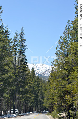 Yosemite National Park Yosemite National Park 43010394